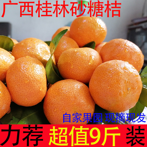 正宗广西砂糖橘新鲜水果沙糖桔9斤小橘子超甜桔子当季蜜橘整箱10