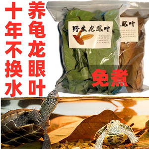 养龟治疗腐皮龙眼叶乌龟造景水族红色桂圆树叶子调节改善水质免煮
