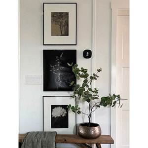 意境风景黑白复古植物小众艺术装饰画 现代客厅摆画玄关卧室挂画