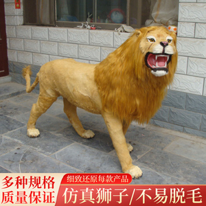 仿真狮子模型动物标本大型摆件展示摄影视道具皮毛工艺品真皮狮子