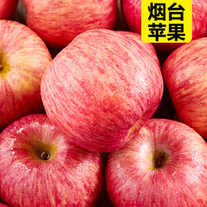 烟台苹果山东特产栖霞红富士农家新鲜水果脆甜9当季整箱10斤包邮