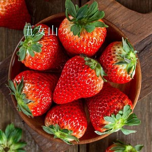 佳乡味来自产地辽宁九九牛奶草莓3斤新鲜水果99红颜顺丰包邮