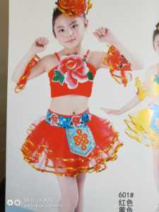【出租】定西儿童演出服表演服舞蹈服芭蕾舞服拉丁服