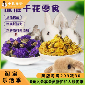 清热解毒提高免疫力兔子龙猫荷兰猪豚鼠零食30克风干菊花勿忘我