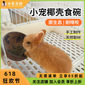 兔子食盆天然椰壳自动喂食器食盒料槽龙猫固定挂式防扒翻碗食碗