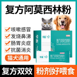 猫鼻支猫用狗用感冒药尿路感染消炎阿莫西林猫咪咳嗽流鼻涕打喷嚏