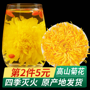 金丝皇菊菊花枸杞茶正品黄菊茶叶花茶胎菊去火非特级金银花决明子