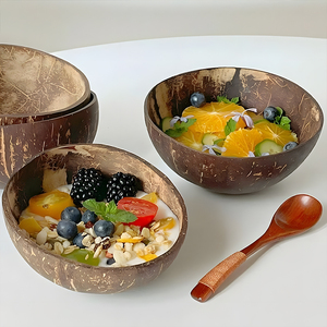 酸奶碗水果燕麦片纯天然椰子壳碗木质餐具高颜值木头早餐碗ins风