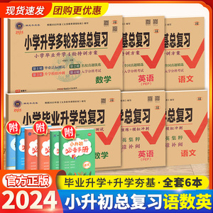 小升初真卷2024海淀ab卷小升初毕业总复习语文数学英语专项复习真题演练模拟冲刺六年级下册期末冲刺人教外研版小学升初中资料卷子