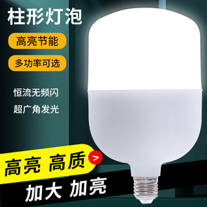 led灯泡l节能照明超高亮家用60We27螺口螺旋防水大功率商用日光灯