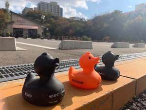 现货FCRB RUBBER DUCK玩具鸭子潮牌摆件玩具WTAPS BAPE READYMADE