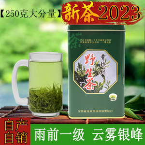 2023新茶预售安徽池州肖坑霄坑茶叶野生茶绿茶高山雨前一级250g