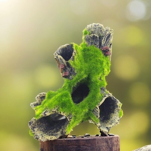 厂家直销鱼缸装饰仿青苔树根造景水族植绒虾洞屋躲避枯木装饰树杈