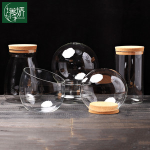 微景观透明玻璃瓶子桌面水培小水滴罩子蛋型吊挂花盆铁支架容器皿