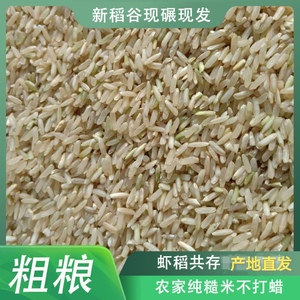 四川农家糙米粗粮杂粮玄米现磨不不抛光打蜡带皮晚稻新米饱腹当季