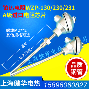 PT100热电阻WZP-230/WZPB-230/WZPK-231 铂热电阻温度传感器