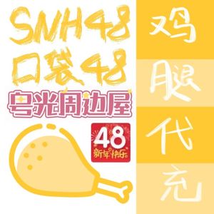 SNH48 GNZ48 BEJ48 口袋48/花戎 打折充值优惠鸡腿VIP代充