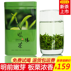 紫阳富硒茶 2024新茶明前嫩芽绿茶紫阳毛尖翠峰陕西安康栗香茶叶