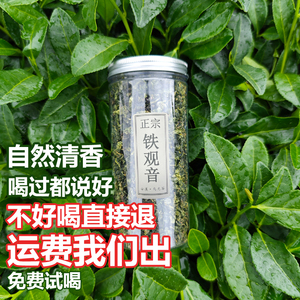 铁观音新茶户外小罐茶耐泡回甘好茶接待自喝浓香乌龙茶清香绿茶水