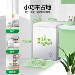 Ronshen/容声 BD/BC-100MB/145/205单温冷冻冰柜家用商用小型冷柜