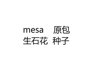 mesa 原包 生石花  种子 C189 C48A  C54 网纹寿丽 高尔夫