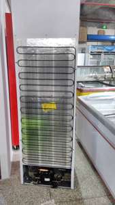 高档圣雪尔单门展示冰柜商用立式玻璃酒水饮料保鲜冷藏冰柜啤酒冰