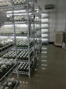 组织培养架植物组培架光照培育实验室种植台架冷光灯全光谱网格板