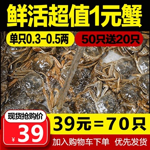 抢70只小螃蟹鲜活小海鲜1元蟹小河蟹香辣蟹毛蟹活体一元蟹大闸蟹