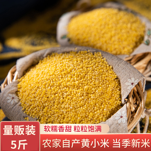 黄小米5斤新米香糯粘稠农家五谷杂粮月子米粗粮农产品小米粥食用