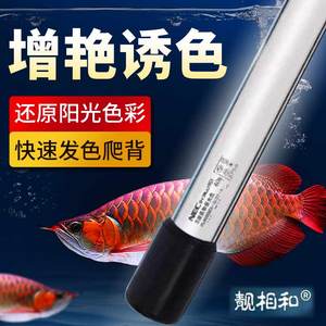 日本本土nec鱼缸灯潜水龙鱼专用灯三基色T8灯管金龙红龙发色6700K
