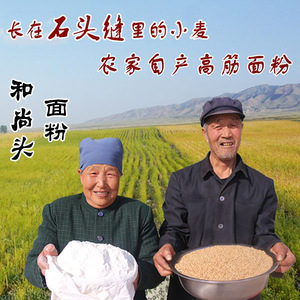 和尚头面粉 甘肃农家自产 无添加 面条 饺子 面包高筋小麦粉 5斤