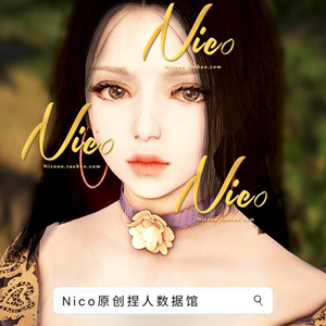 Nico原创-女巫 黑色沙漠PC端捏脸数据 长发气质女法师 witch 卷耳