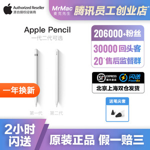 Apple pencil 1代 2代 苹果笔 平板手写笔触控笔 iPad Pro Mini笔