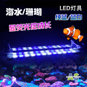 As海水灯 As海水灯品牌 价格 阿里巴巴 As海水灯 As海水灯品牌 价格 阿里巴巴
