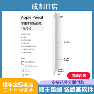 Apple pencil 二代苹果手写触控笔 ipad pro妙控键盘教育笔双面夹
