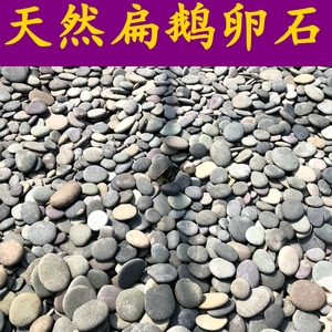 天然鹅卵石扁石头铺路石子园艺鱼缸石头雨花石鹅暖石压泡菜石片石