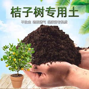 桔子树专用土桔子树营养土壤盆栽种花土种植土通用养花土花卉肥料