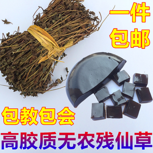 仙草干黑凉粉草粿草仙草冻正宗仙人粄草粉龟苓膏烧仙草 新鲜草干