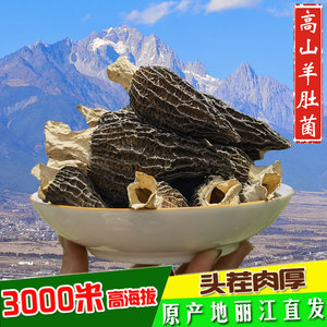 云南丽江头茬新鲜羊肚菌干货500g高海拔野生菌羊肚菇特级非汤料包
