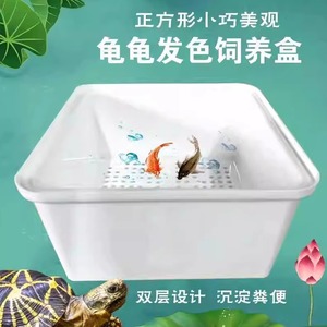 乌龟金鱼双层隔离盒养龟专用正方形盒孵化盒鱼缸内龟苗饲养多功能