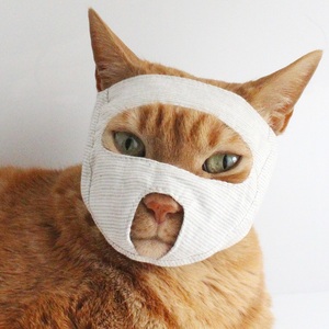 吉仔仔猫咪口罩防咬人面罩神器小型宠物保护罩透气布料猫嘴套眼罩