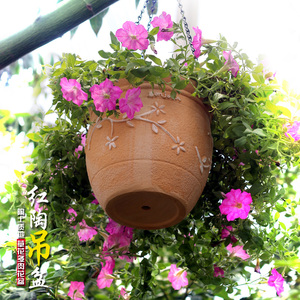 创意红陶吊盆透气阳台垂吊植物绿萝球兰悬挂多肉陶土简约装饰花盆
