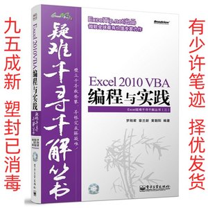 正版二手Excel2010VBA编程与实践Excel疑难千寻千解丛书 罗刚君章