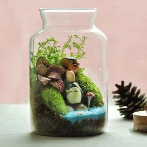 大口径生态瓶青苔微景观玻璃缸盆景摆件造景盆栽带灯花卉DIY容器