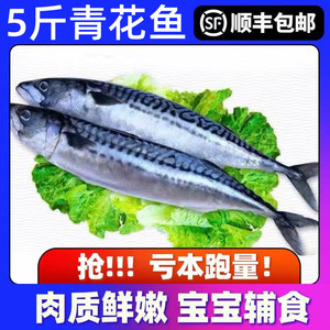 舟山青花鱼海鲜冷冻水产5斤青占鱼鲜活新鲜海鱼青鱼日式料理烧烤