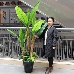 芭蕉树仿真绿植落地树盆栽室内装饰客厅仿真芭蕉植物大型香蕉假树