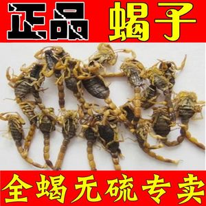 中药材全蝎干蝎子全虫有蜈蚣 盐水干货500克正品包邮