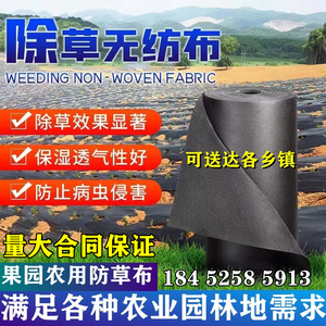 抗老化新型农用生态无纺布除草布防草布遮地布可降解果园茶园耐用