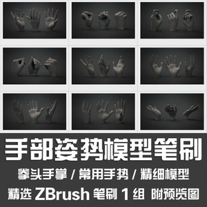 ZBrush手部姿势模型笔刷摊开手掌握紧拳头手指手势手心ZB笔刷模型