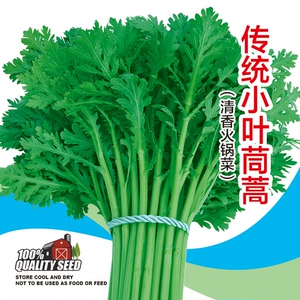 小青菜香茼蒿种籽四季皇帝菜籽青菜种蔬菜春季秋冬菜种籽四季种孑